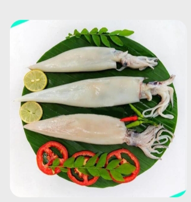 Kanava