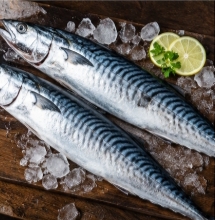 Seala fish